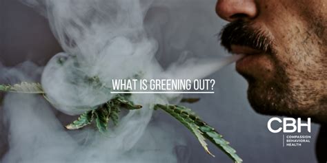 Is Greening Out Real? A Deeper Dive into the Reality of Environmental Protection