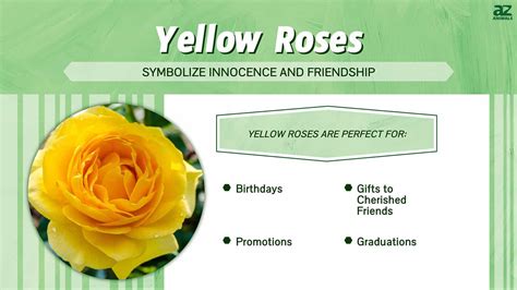 What Do Yellow Flowers Mean on September 21st?